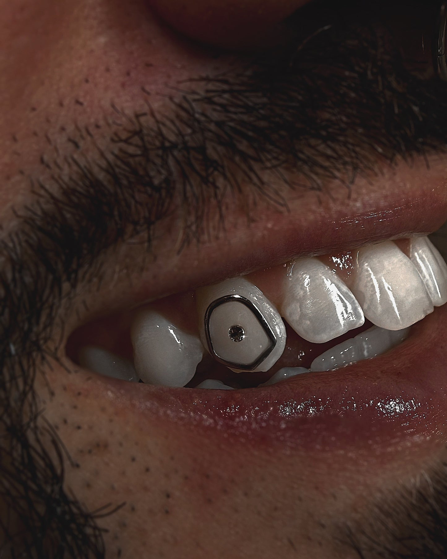 Canine Window Frame 18k Gold Tooth Charm